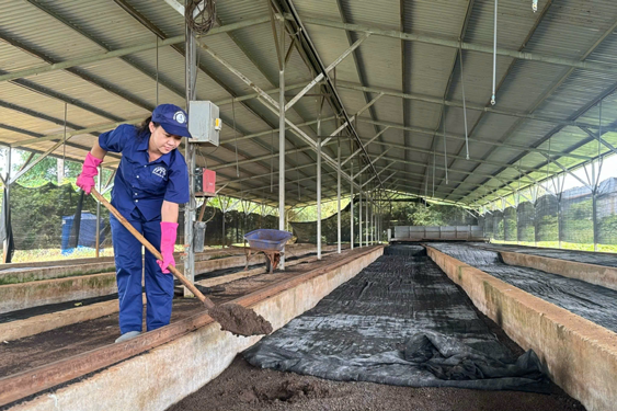 Học Bác tinh thần trách nhiệm, sáng tạo - Ảnh 1.