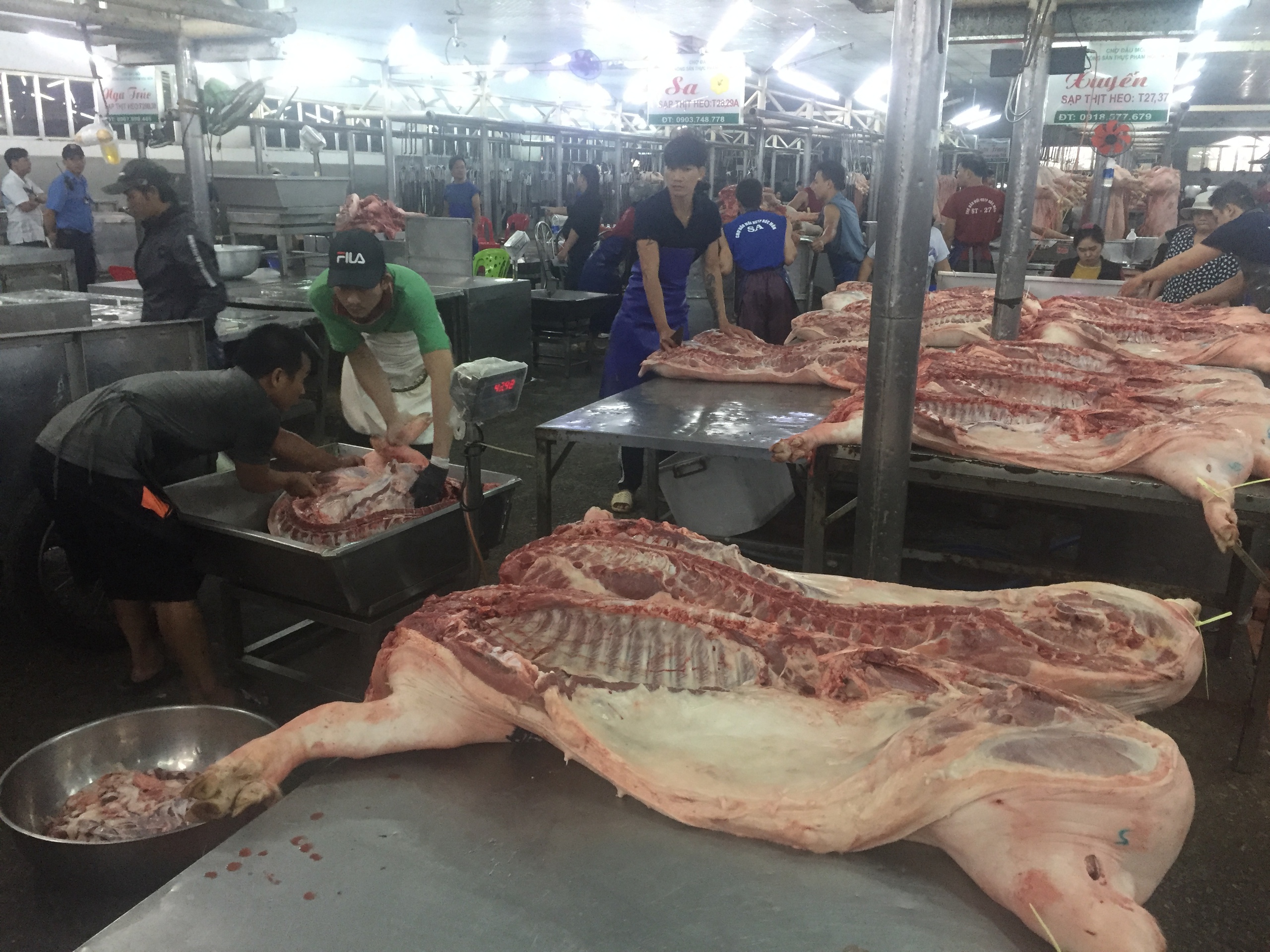 Giá heo hơi hôm nay 23 - 5 tại TPHCM: Thông tin mới nhất từ chợ đầu mối - Ảnh 1.
