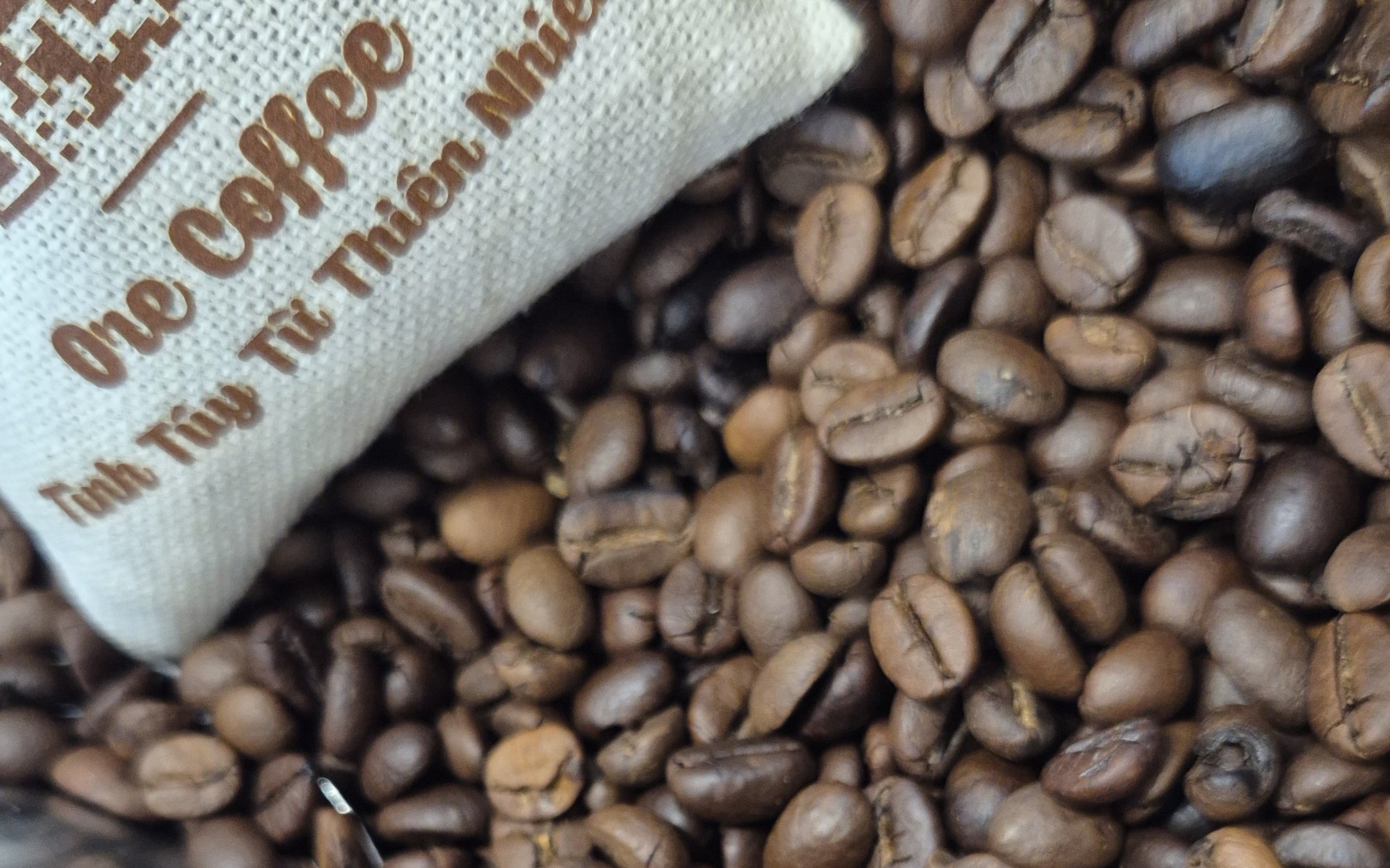 Giá cà phê hôm nay 24-5: Giải mã vùng trồng Arabica lớn nhất Việt Nam - Ảnh 2.