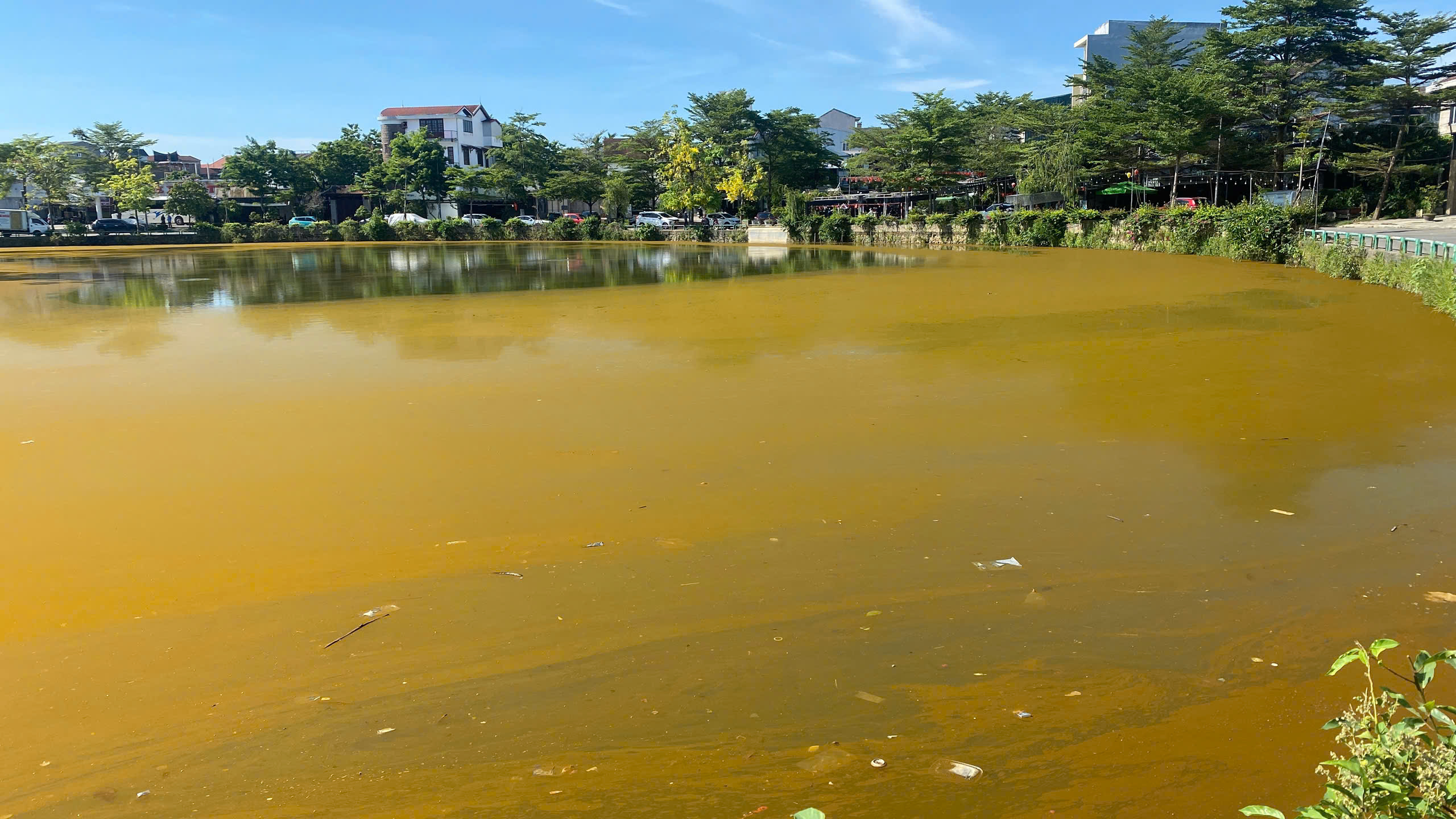 Hồ Trái Tim Huế xuất hiện màu nâu vàng gây lo ngại ô nhiễm môi trường - Ảnh 1. Hồ Trái Tim Huế xuất hiện màu nâu vàng gây lo ngại ô nhiễm môi trường - Ảnh 1.
