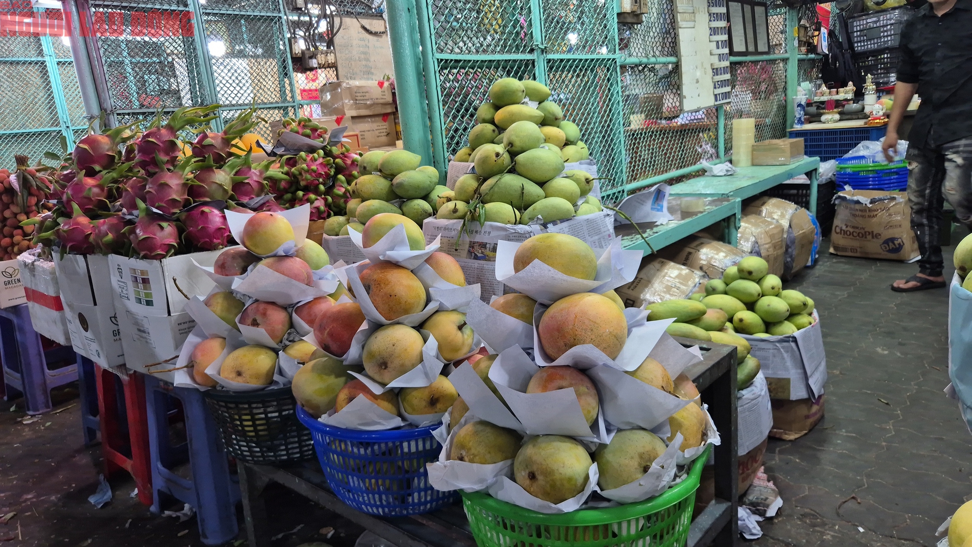 Xo&agrave;i rẻ hiếm c&oacute;, nh&agrave; m&aacute;y mua trữ đến th&aacute;ng 10  - Ảnh 3.