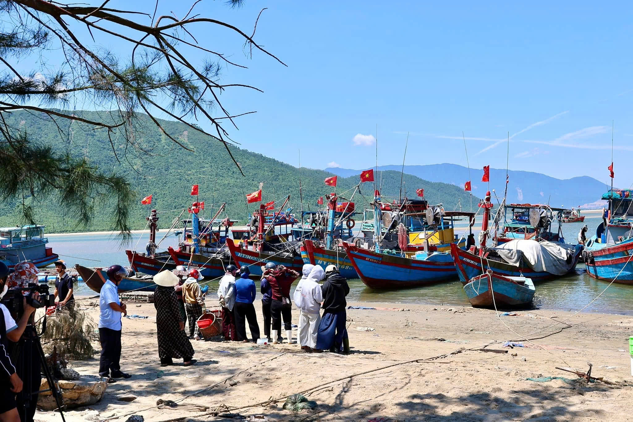 Ngư dân phấn khởi khi trúng đậm “lộc biển” - Ảnh 3.
