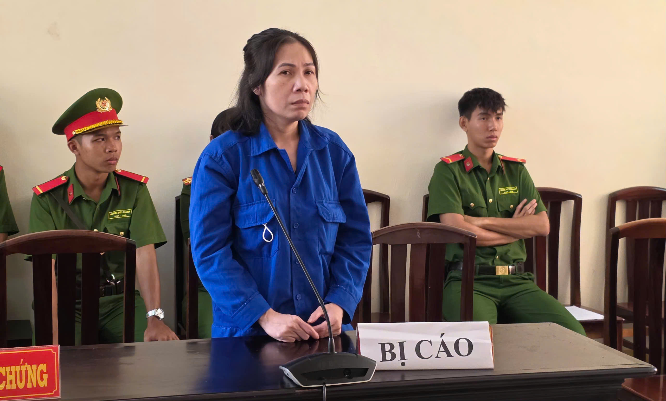 Kế hoạch lừa đảo của người phụ nữ quê An Giang - Ảnh 1.