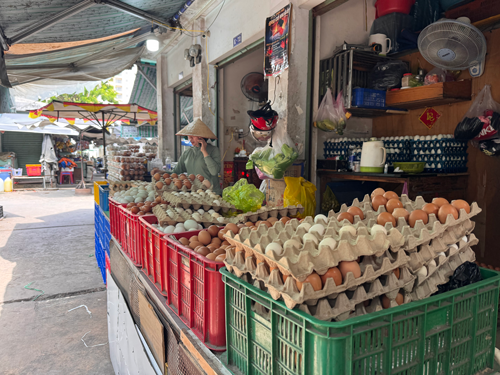 Lao đao vì giá trứng giảm sâu - Ảnh 1.