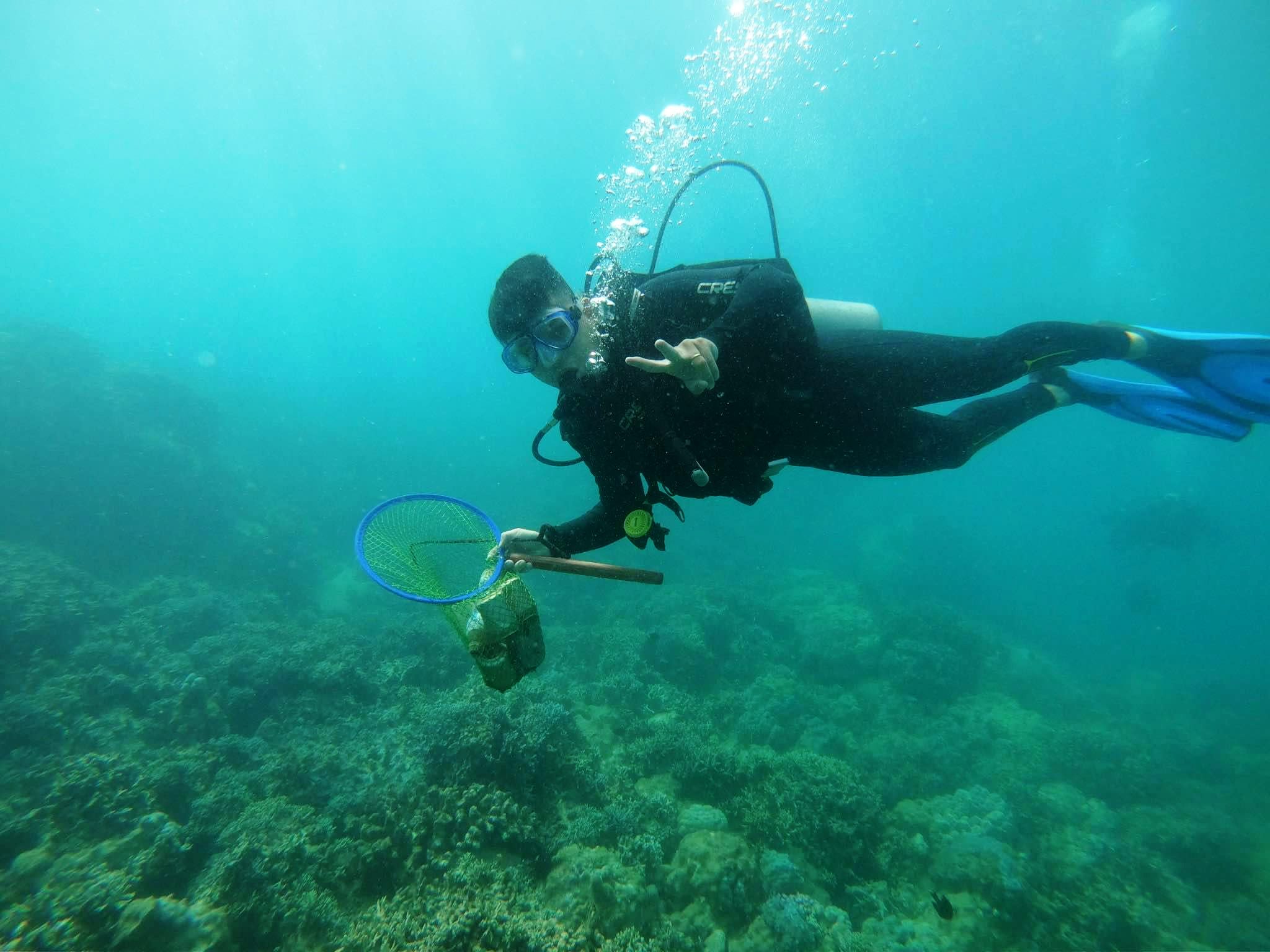 Khoanh vùng bảo vệ san hô vịnh Nha Trang - Ảnh 1.