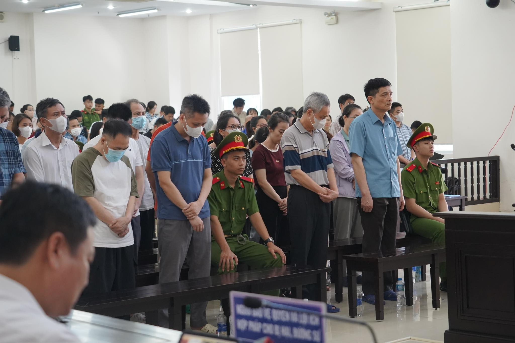 Giảm án cựu Cục trưởng Cục An toàn thực phẩm Nguyễn Thanh Phong và Trần Việt Nga - Ảnh 2.