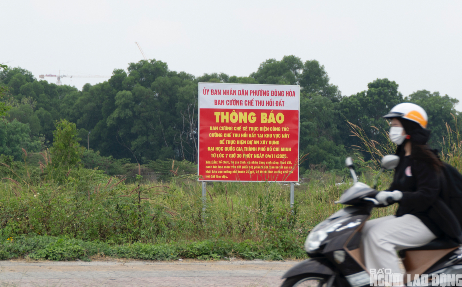 Toàn cảnh dự án cửa ngõ Đại học Quốc gia TPHCM dang dở sau nhiều năm - Ảnh 7.
