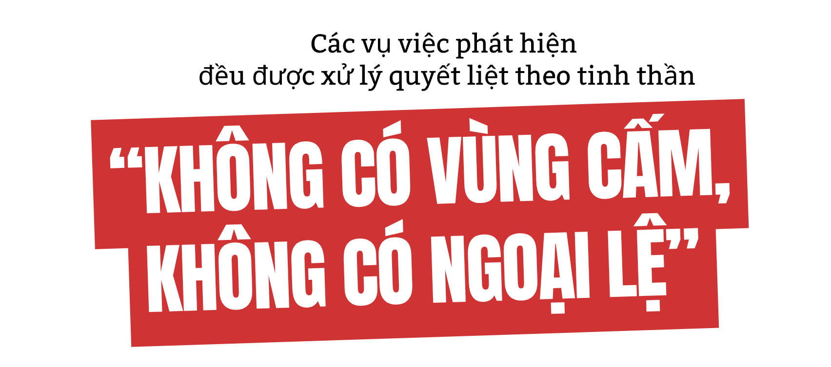 Công an TPHCM quyết “đánh tận gốc” các đường dây hàng giả, thực phẩm bẩn - Ảnh 31.