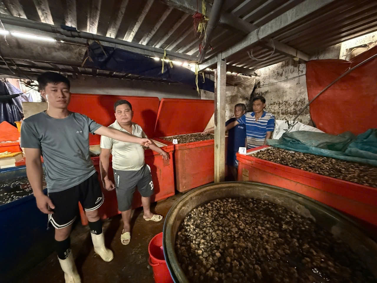 Phỏng vấn độc quyền: Công an TPHCM quyết “đánh tận gốc” các đường dây hàng giả, thực phẩm bẩn - Ảnh 33.