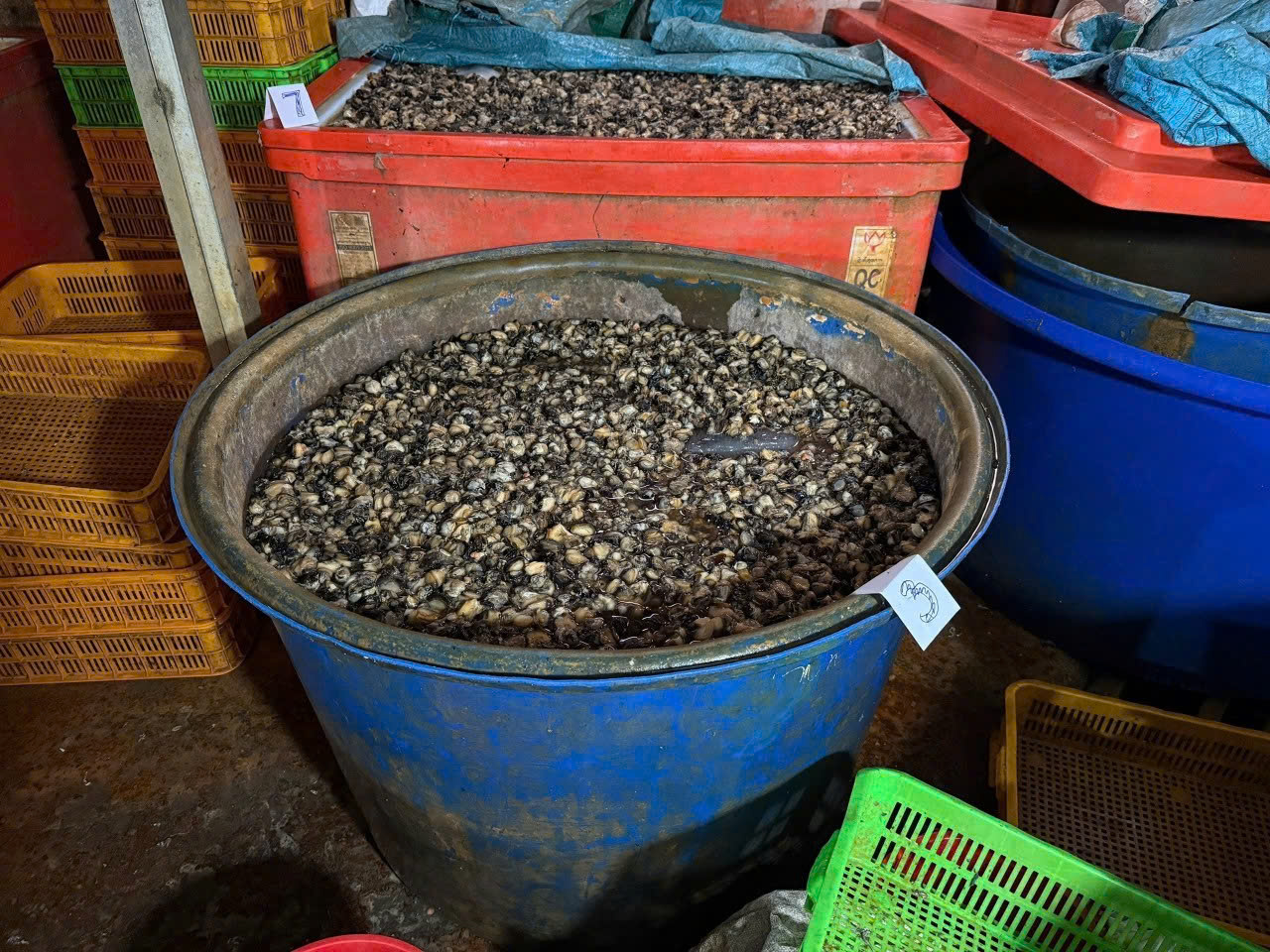 Phỏng vấn độc quyền: Công an TPHCM quyết “đánh tận gốc” các đường dây hàng giả, thực phẩm bẩn - Ảnh 36.