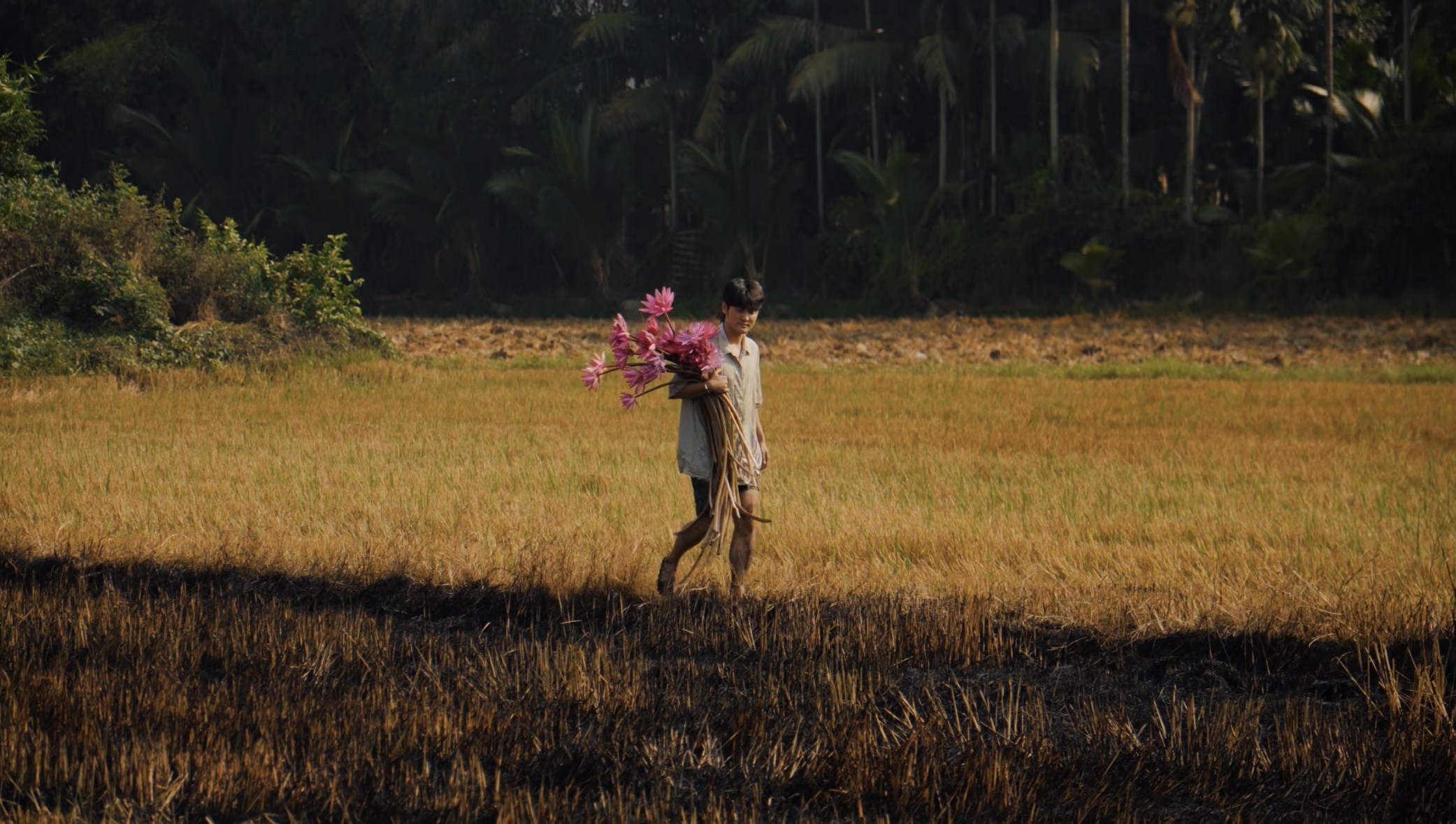 Vlogger Quan Không Gờ mang miền Tây lên YouTube bằng những khung hình điện ảnh  - Ảnh 19.