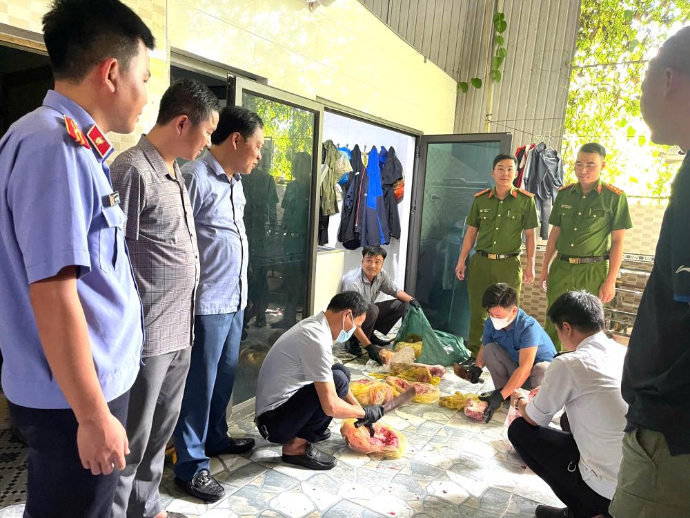 Khởi tố, bắt giam người đàn ông thu mua heo dịch về giết mổ bán ra thị trường - Ảnh 2.
