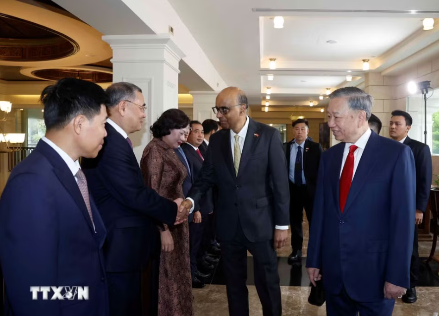 Lễ đón Tổng Bí thư, Chủ tịch nước Tô Lâm và Phu nhân thăm cấp Nhà nước Singapore - Ảnh 14.