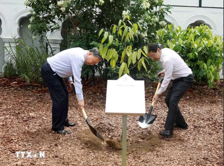 Tổng Bí thư, Chủ tịch nước Tô Lâm và Thủ tướng Lawrence Wong trồng cây tại Vườn Bách thảo Singapore - Ảnh 1.