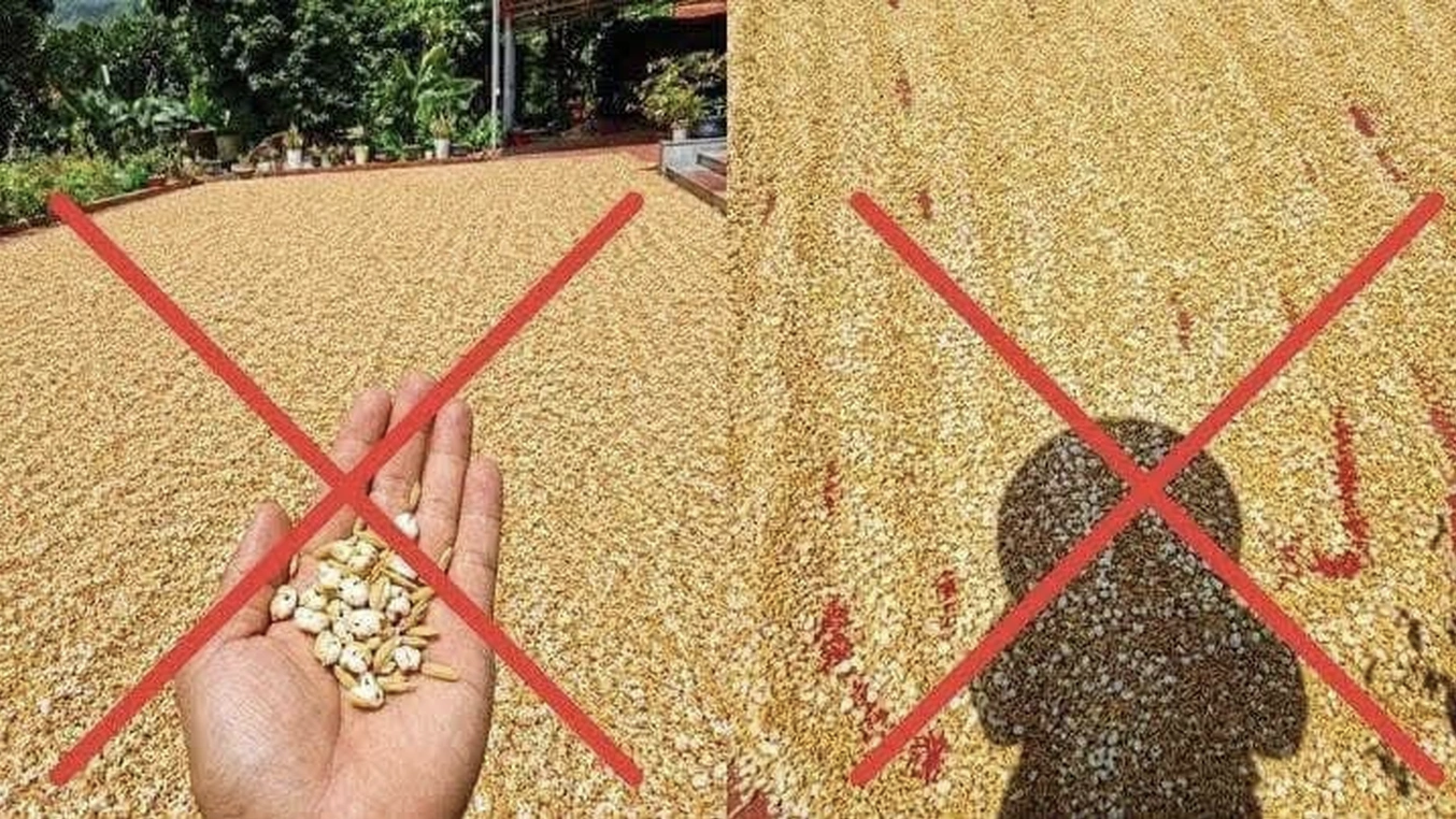 Người đàn ông Hà Nội bị phạt vì đăng tin sai sự thật về thóc phơi ngòai trời - Ảnh 1. Người đàn ông Hà Nội bị phạt vì đăng tin sai sự thật về thóc phơi ngòai trời - Ảnh 1.