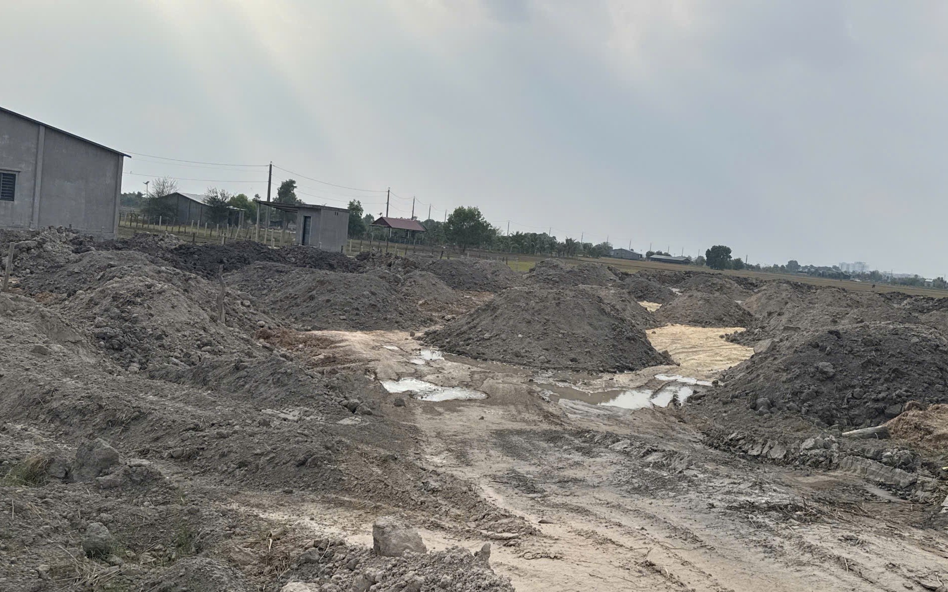 T&acirc;y Ninh triệt ph&aacute; vụ 3 tấn hạt n&ecirc;m giả tuồn ra thị trường - Ảnh 3.