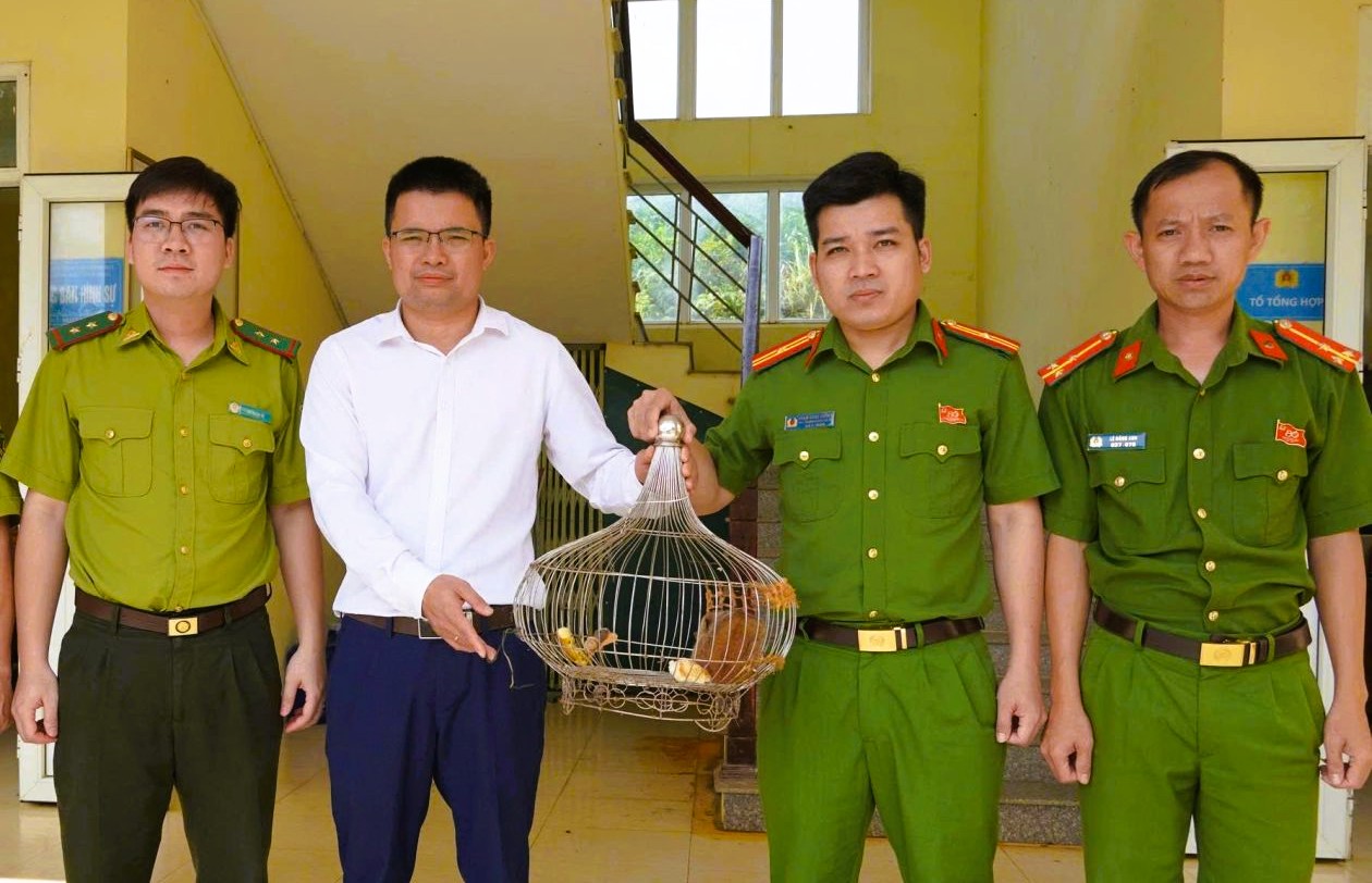 Thấy động vật sách đỏ đi lạc liền bắt giao nộp công an - Ảnh 1.