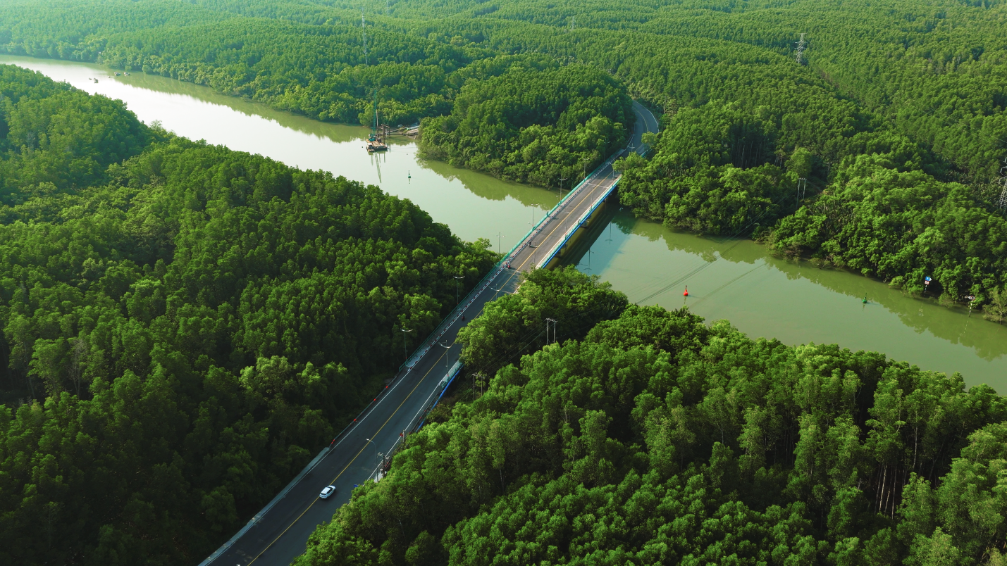 Megaprojects reshaping Can Gio - Ảnh 6.