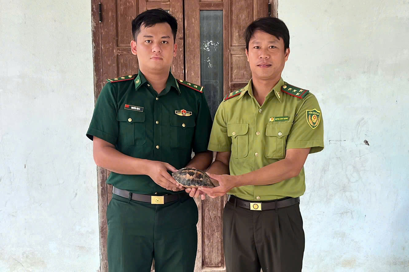 Người dân giao nộp động vật cực kỳ nguy cấp Tại TP Huế , rùa hộp trán vàng được cứu - Ảnh 1.