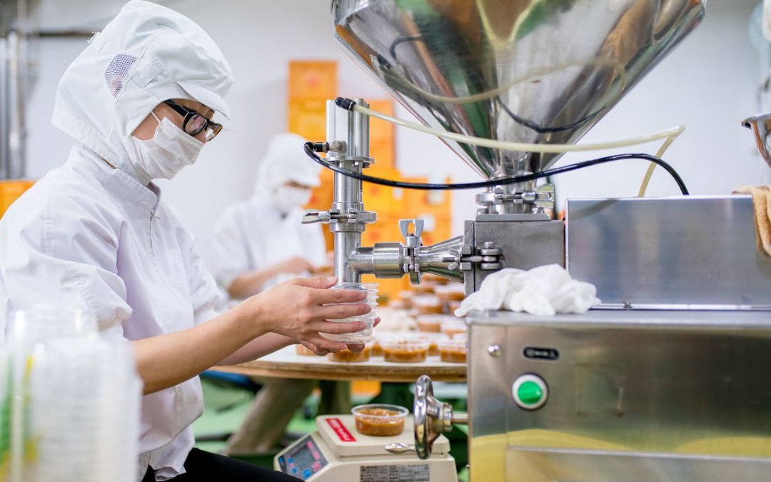 TPHCM mở rộng cơ hội việc l&agrave;m cho người lang thang xin ăn - Ảnh 2.