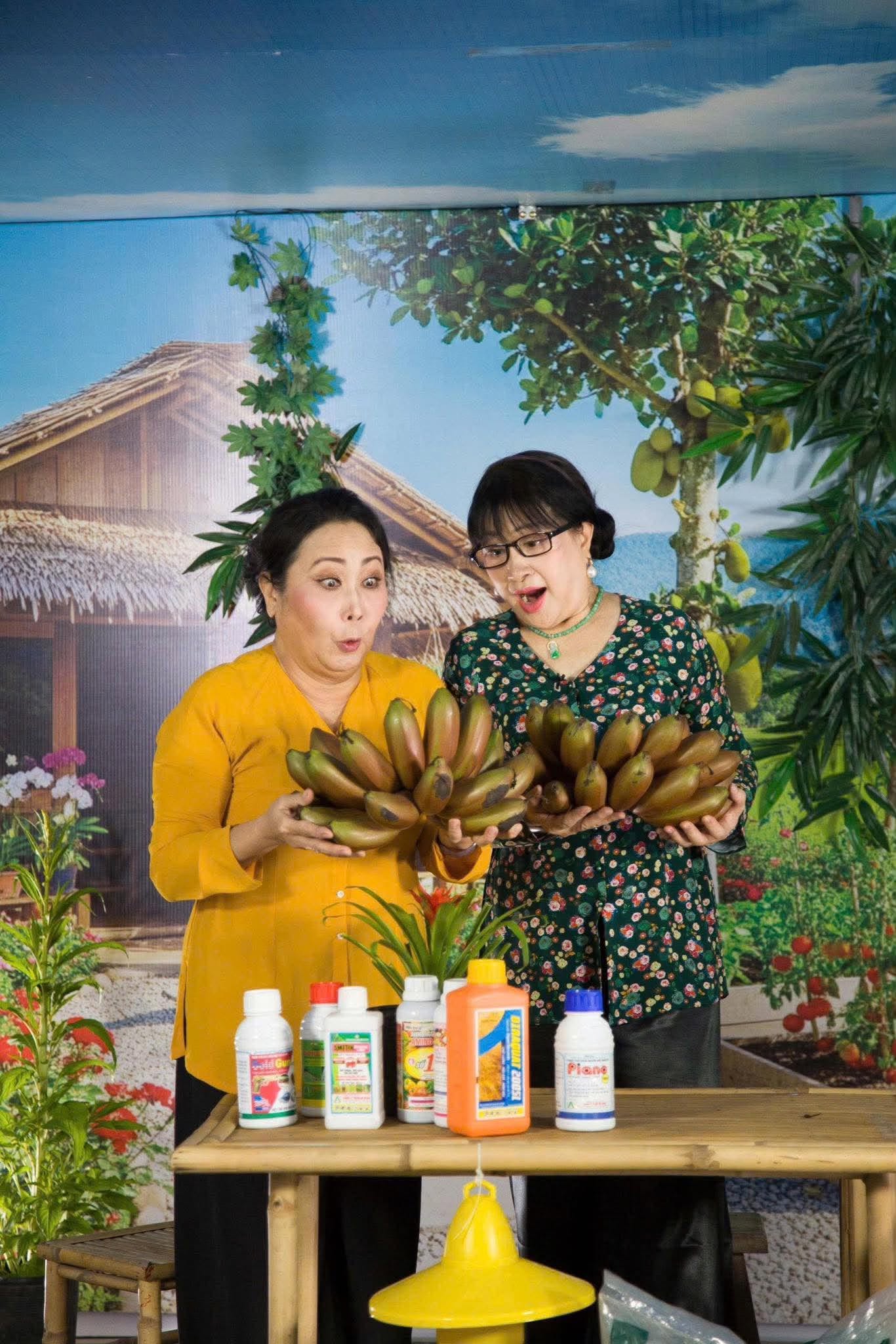Thanh Hằng, Bích Thủy gắn kết nhiều hoạt động ý nghĩa, lan tỏa tình ca Bắc Sơn - Ảnh 4.