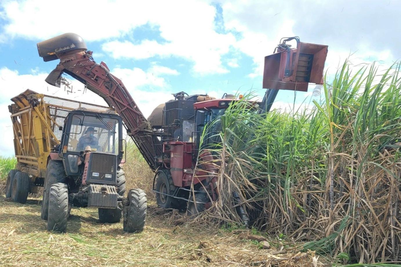 Đường lậu, không rõ nguồn gốc vẫn tràn lan - Ảnh 1.