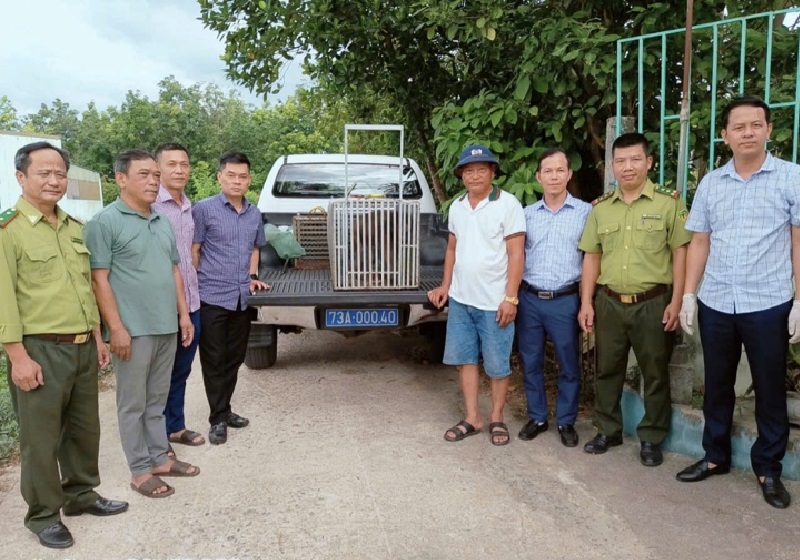 Liên tiếp phát hiện động vật qúy hiếm ở Quảng Trị: Tê tê Java và khỉ mặt đỏ - Ảnh 1.