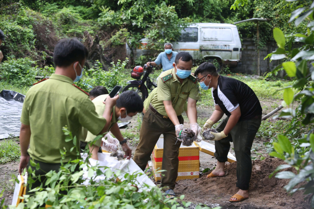 Tây Ninh tiêu hủy 127kg thằn lằn núi Bà Đen vi phạm pháp luật 2026 - Ảnh 1.