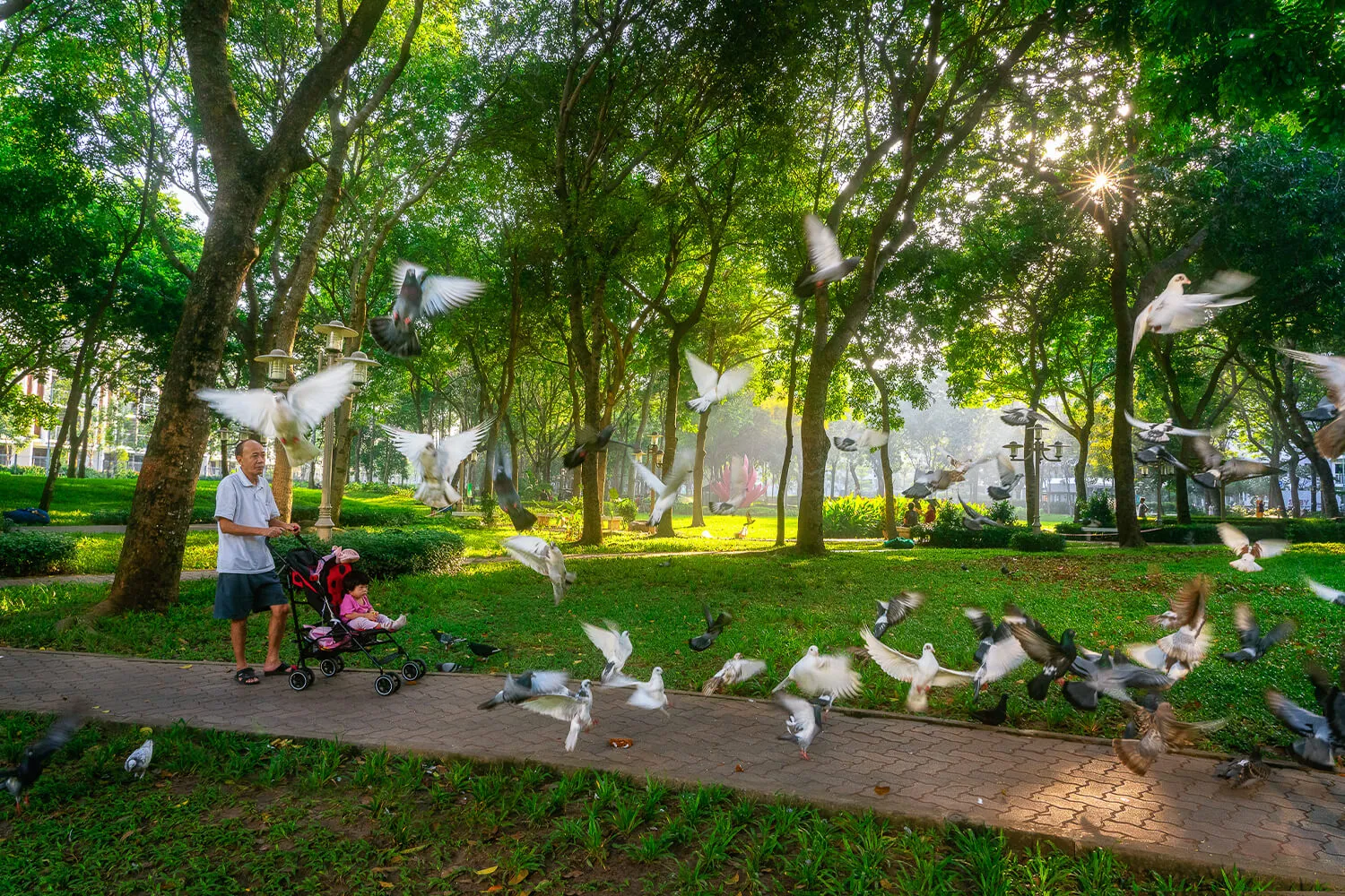Chủ tịch Gamuda Land Việt Nam: An cư không chỉ là sở hữu,mà là lựa chọn môi trường sống có chiều sâu - Ảnh 2.