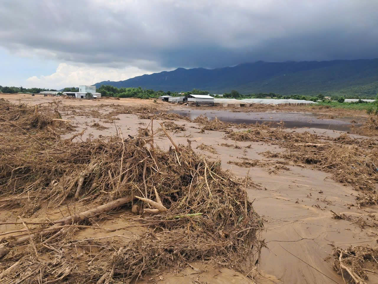 Vỡ hồ trên núi Tân Lai: Người dân mòn mỏi chờ đền bù - Ảnh 1. Vỡ hồ trên núi Tân Lai: Người dân mòn mỏi chờ đền bù - Ảnh 1.