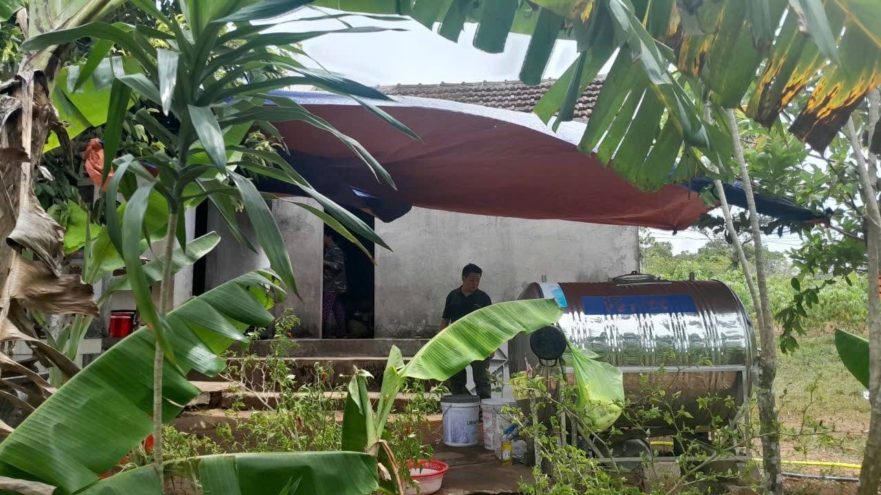 Người phụ nữ tử vong sau khi bị rắn độc cắn khi vào rừng hái cây thuốc nam - Ảnh 1.
