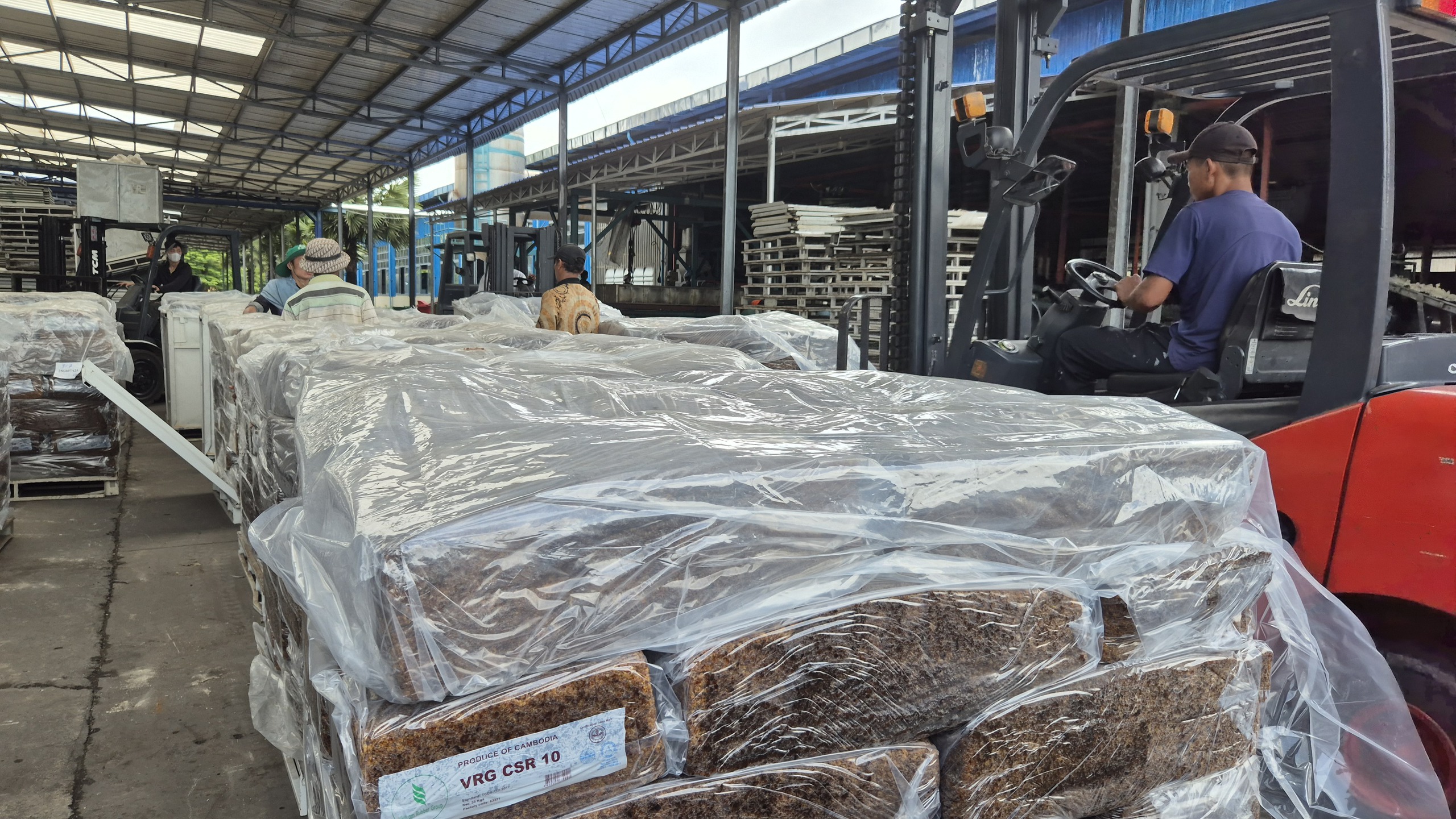 Dự báo giá cao su năm 2030 có thể đạt 3 . 300 USD / tấn Theo VRG - Ảnh 4.