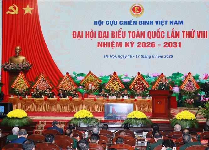 Tiếp tục xây dựng Hội Cựu chiến binh Việt Nam vững mạnh toàn diện - Ảnh 1.