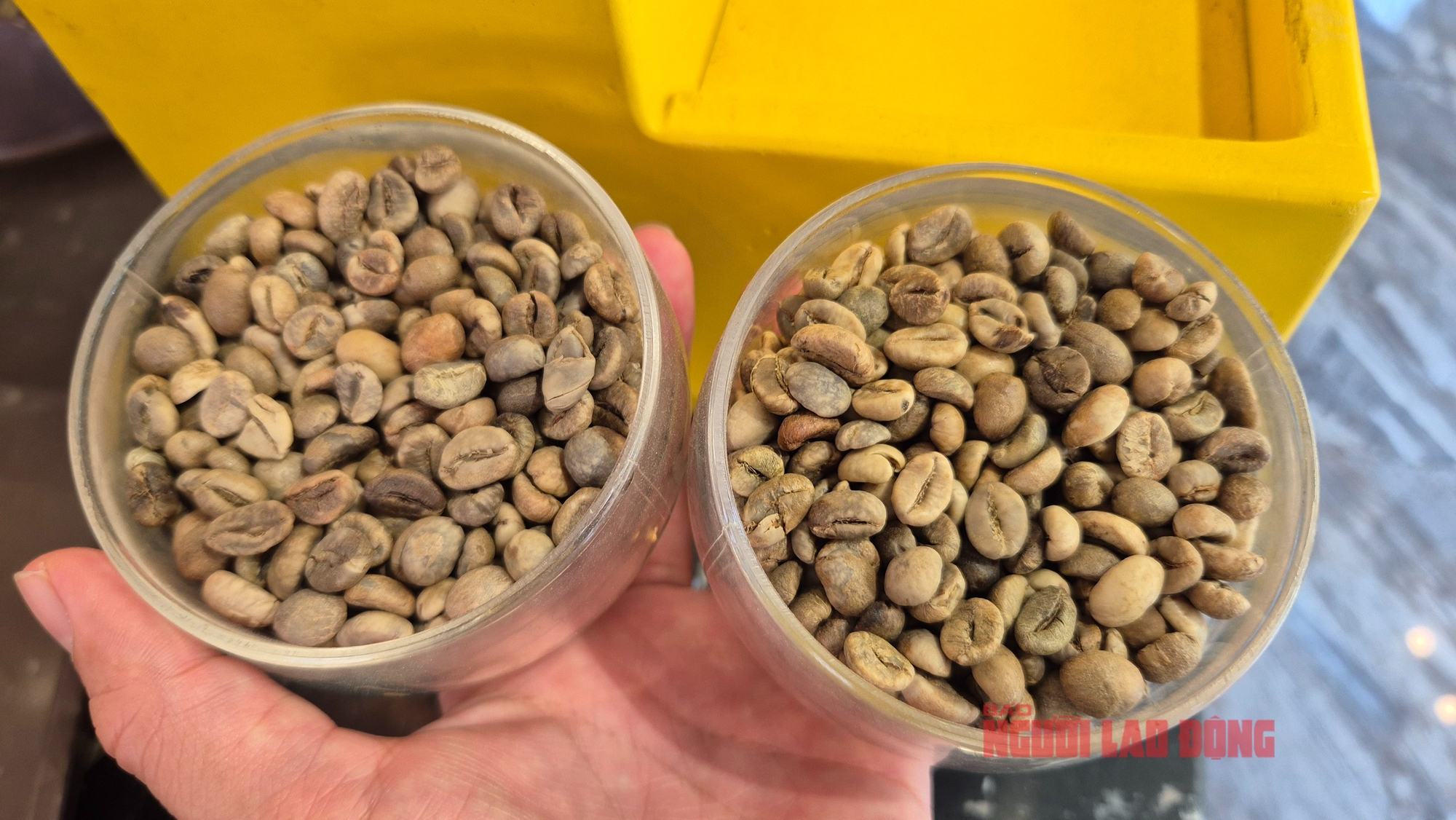 Giá cà phê hôm nay 18 - 6: Robusta tăng 6 phiên liên tiếp , nông dân bán ra - Ảnh 2. Giá cà phê hôm nay 18 - 6: Robusta tăng 6 phiên liên tiếp , nông dân bán ra - Ảnh 2.