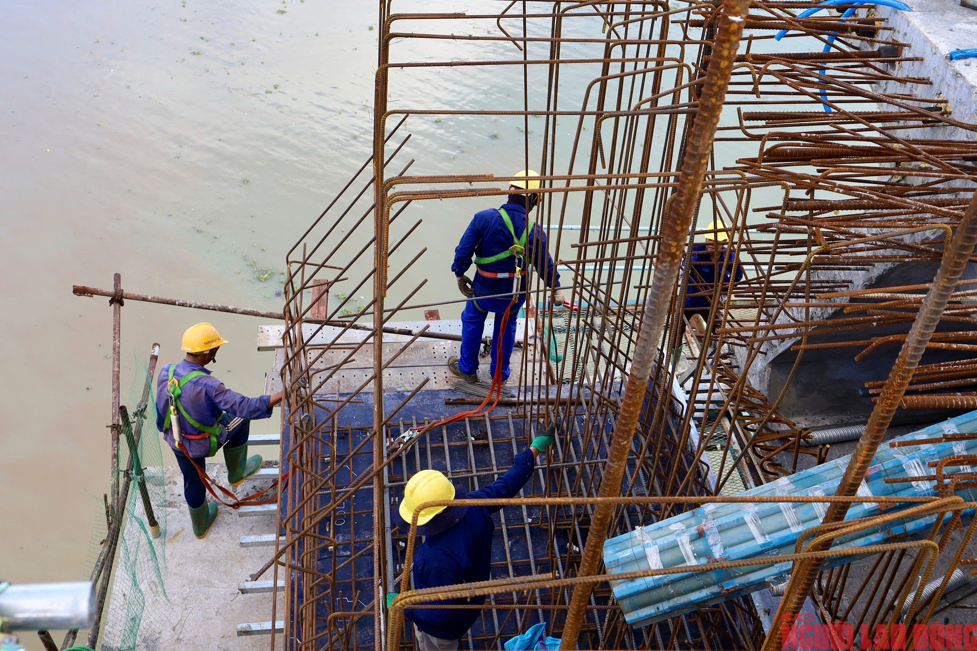Cầu Phước Khánh hoàn thành 2 bó cáp dây văng cuối cùng - Ảnh 2.