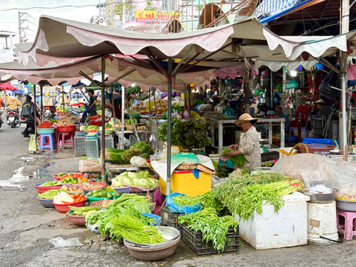 V&Ugrave;NG ĐẤT MẾN THƯƠNG (*): Lưu dấu h&agrave;nh tr&igrave;nh phương Nam - Ảnh 4.