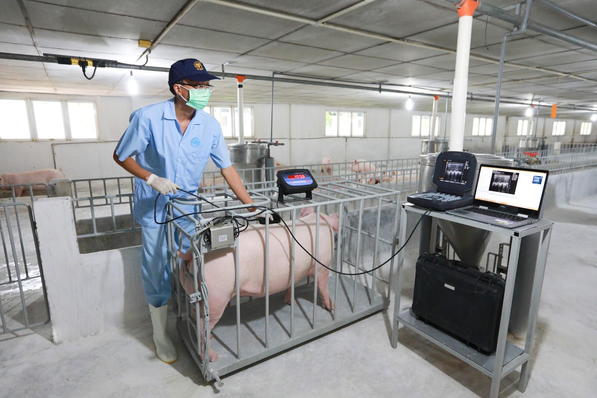 IPVS 2026: C.P. Việt Nam thúc đẩy cách tiếp cận phòng bệnh chủ động trong chăn nuôi heo - Ảnh 4.