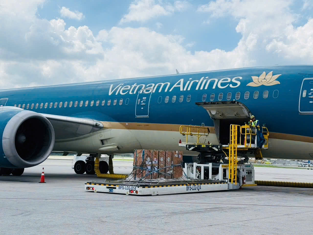 Sếu đầu đỏ từ Thái Lan được đưa về Việt Nam bằng Boeing 787 - Ảnh 2. Sếu đầu đỏ từ Thái Lan được đưa về Việt Nam bằng Boeing 787 - Ảnh 2.