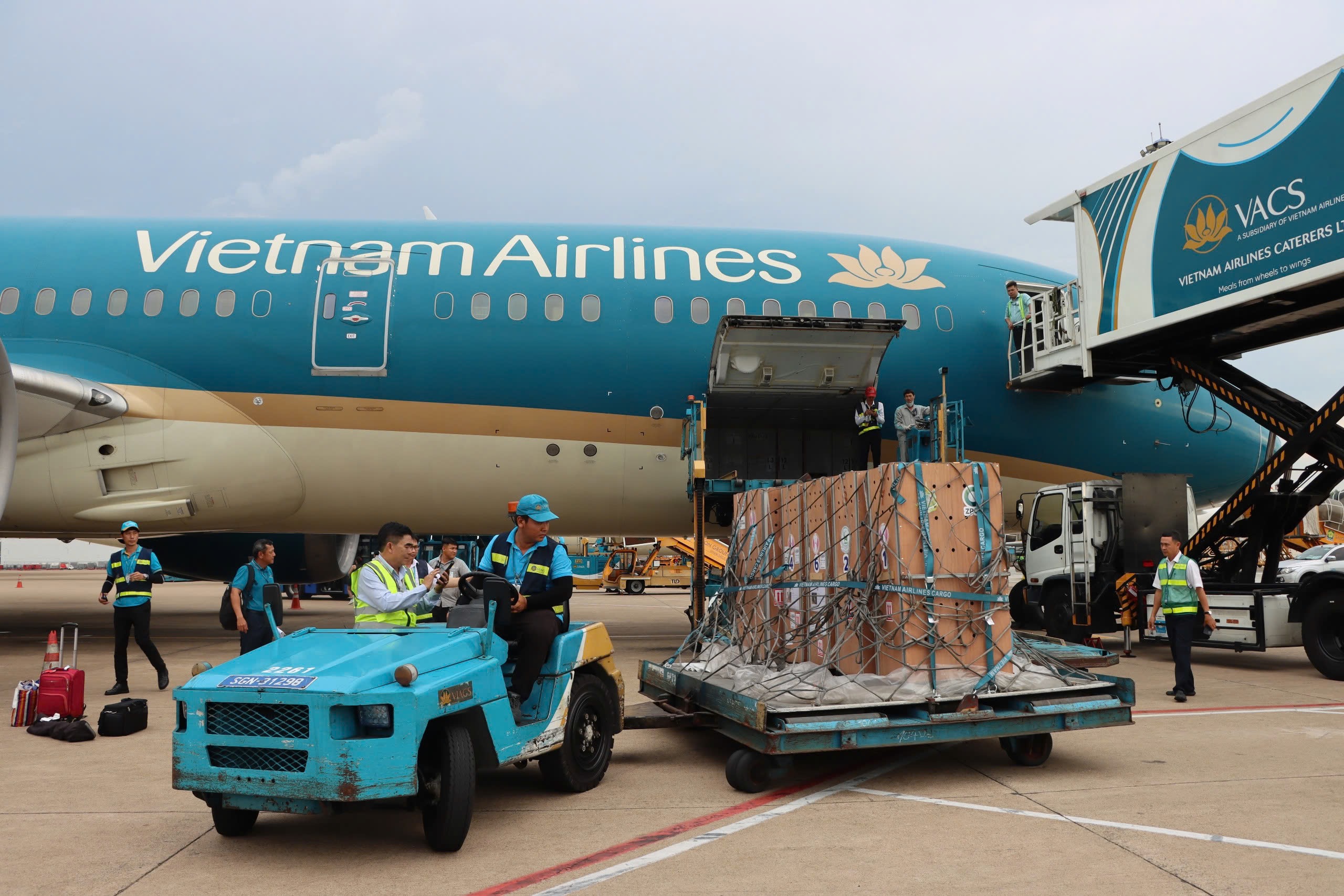 Sếu đầu đỏ từ Thái Lan được đưa về Việt Nam bằng Boeing 787 - Ảnh 3. Sếu đầu đỏ từ Thái Lan được đưa về Việt Nam bằng Boeing 787 - Ảnh 3.