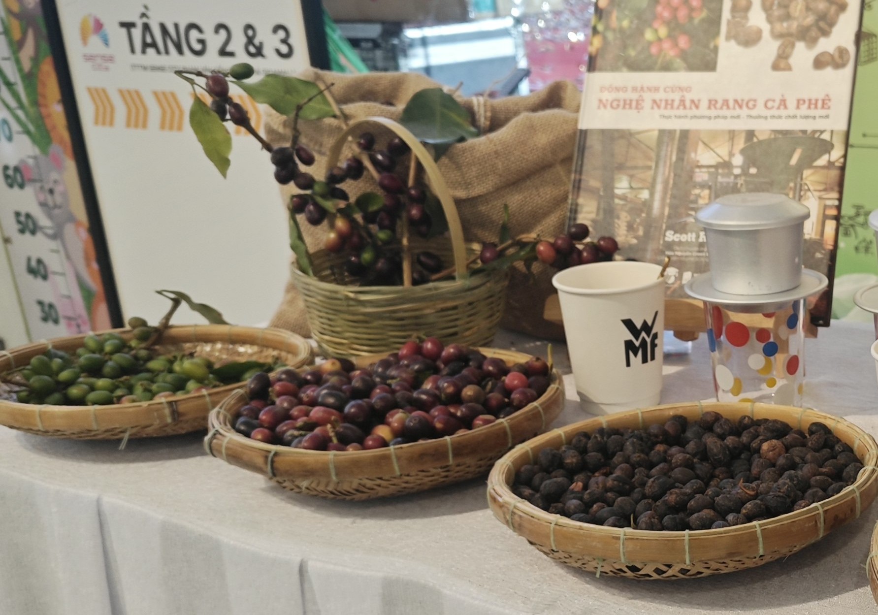 Giá cà phê hôm nay 26-6: Robusta tăng 3 phiên liền, cà phê Việt mở rộng thị phần tại Mỹ - Ảnh 1.