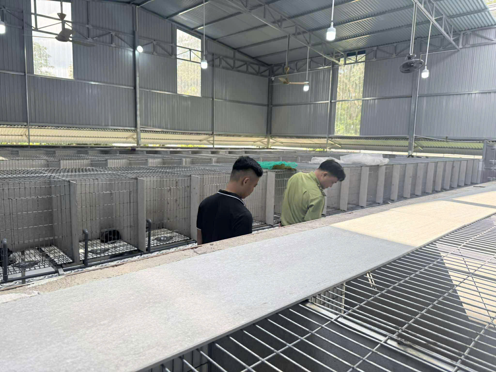 Khám phá trang trại nuôi chồn hương đặc biệt ở thành phố Đồng Nai  - Ảnh 2.