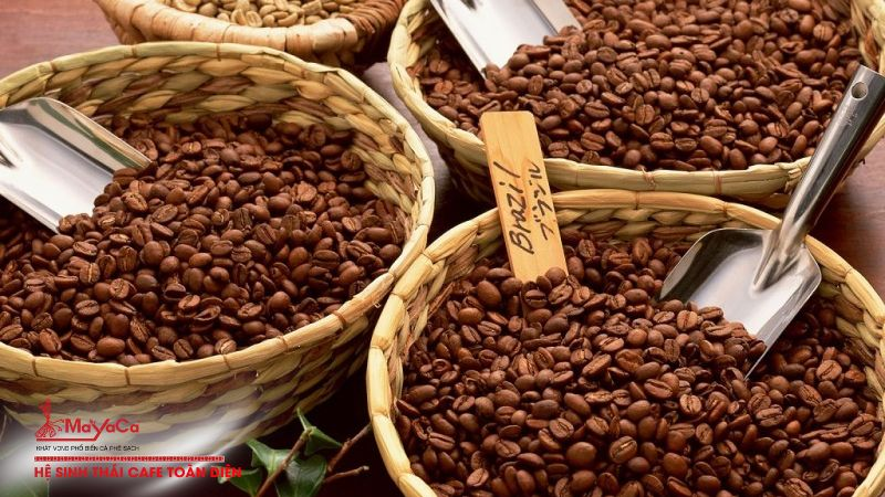 Cà phê phin Đà Nẵng loại nào tốt? Địa chỉ bán cà phê ngon và uy tín - Ảnh 2.