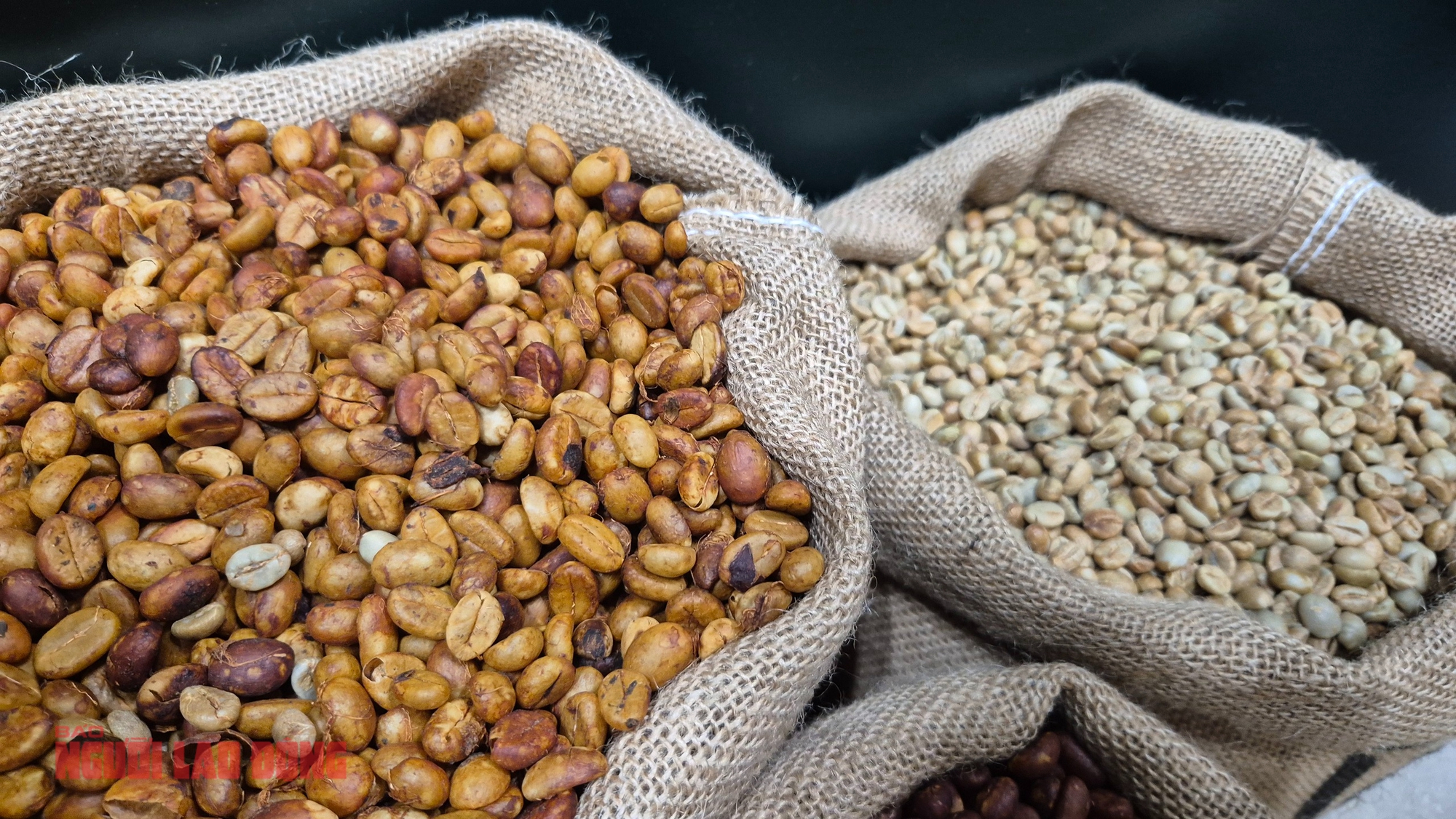 Giá cà phê hôm nay 3 - 6: Robusta tăng trở lại giữa bối cảnh thị trường - Ảnh 2.