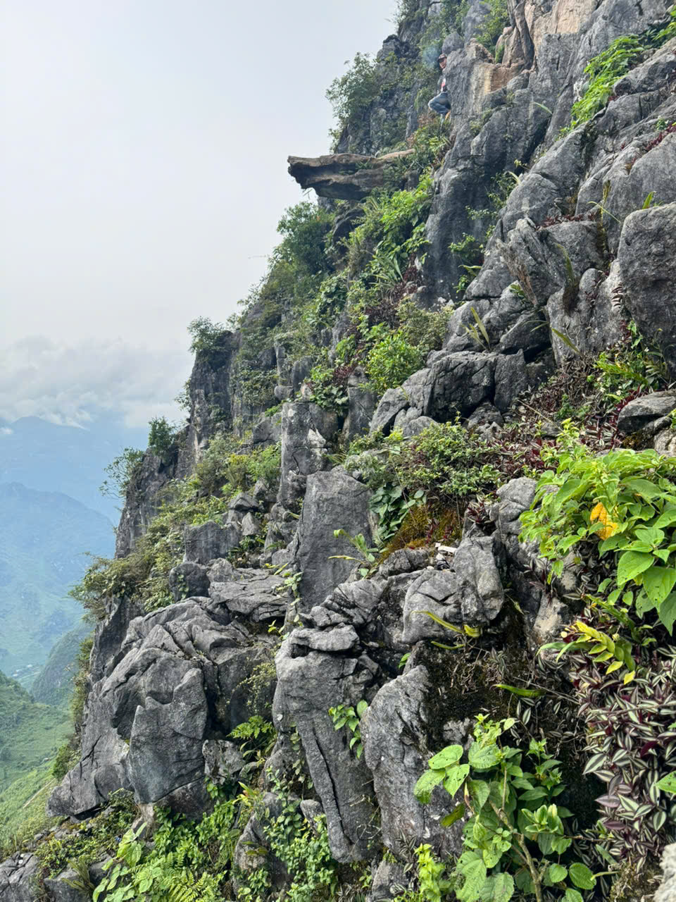 Tạm dừng đón khách tham quan 