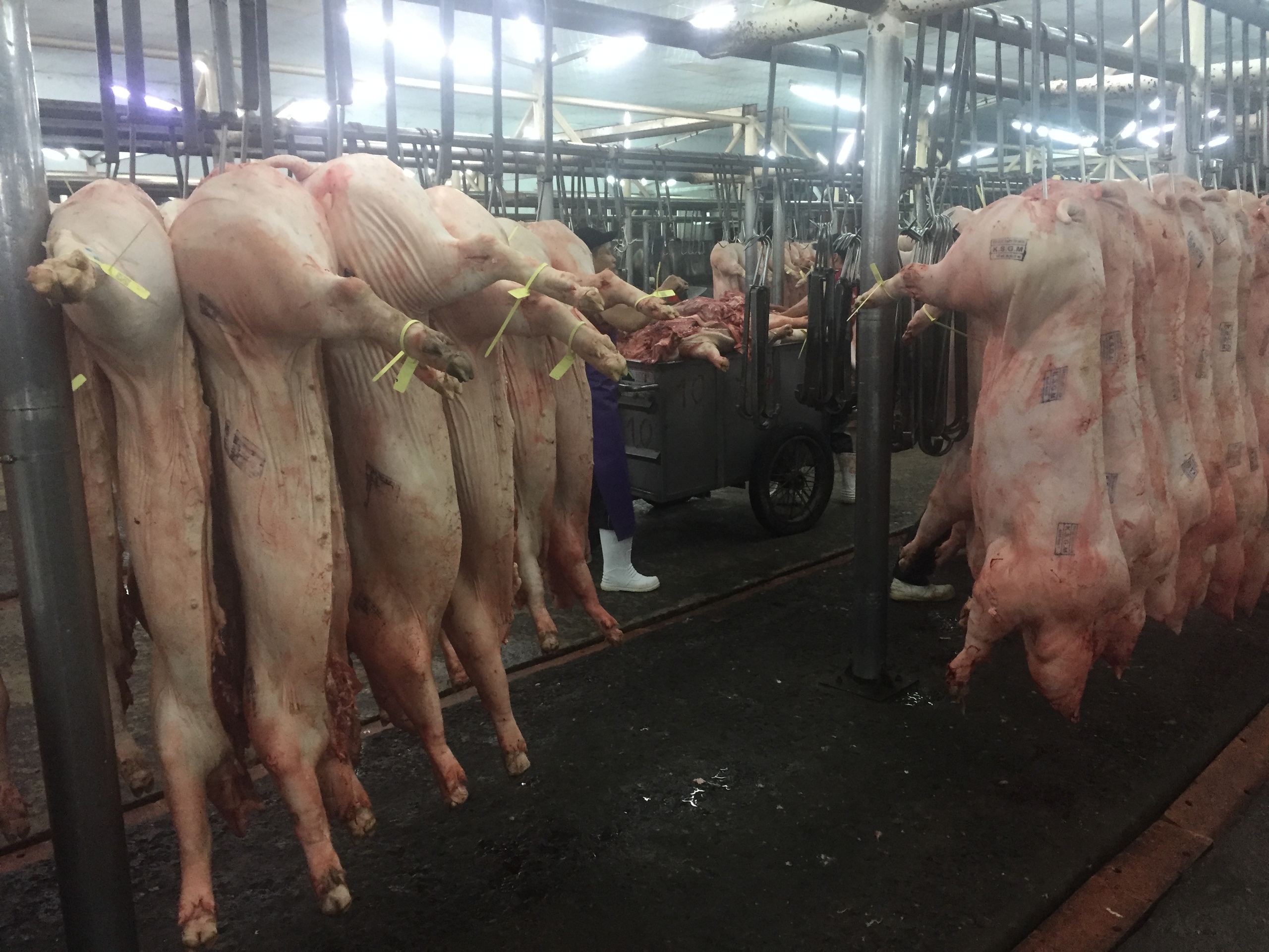 Giá heo hơi hôm nay 30 - 6 giảm , chợ đầu mối điều chỉnh giá thịt heo - Ảnh 1.