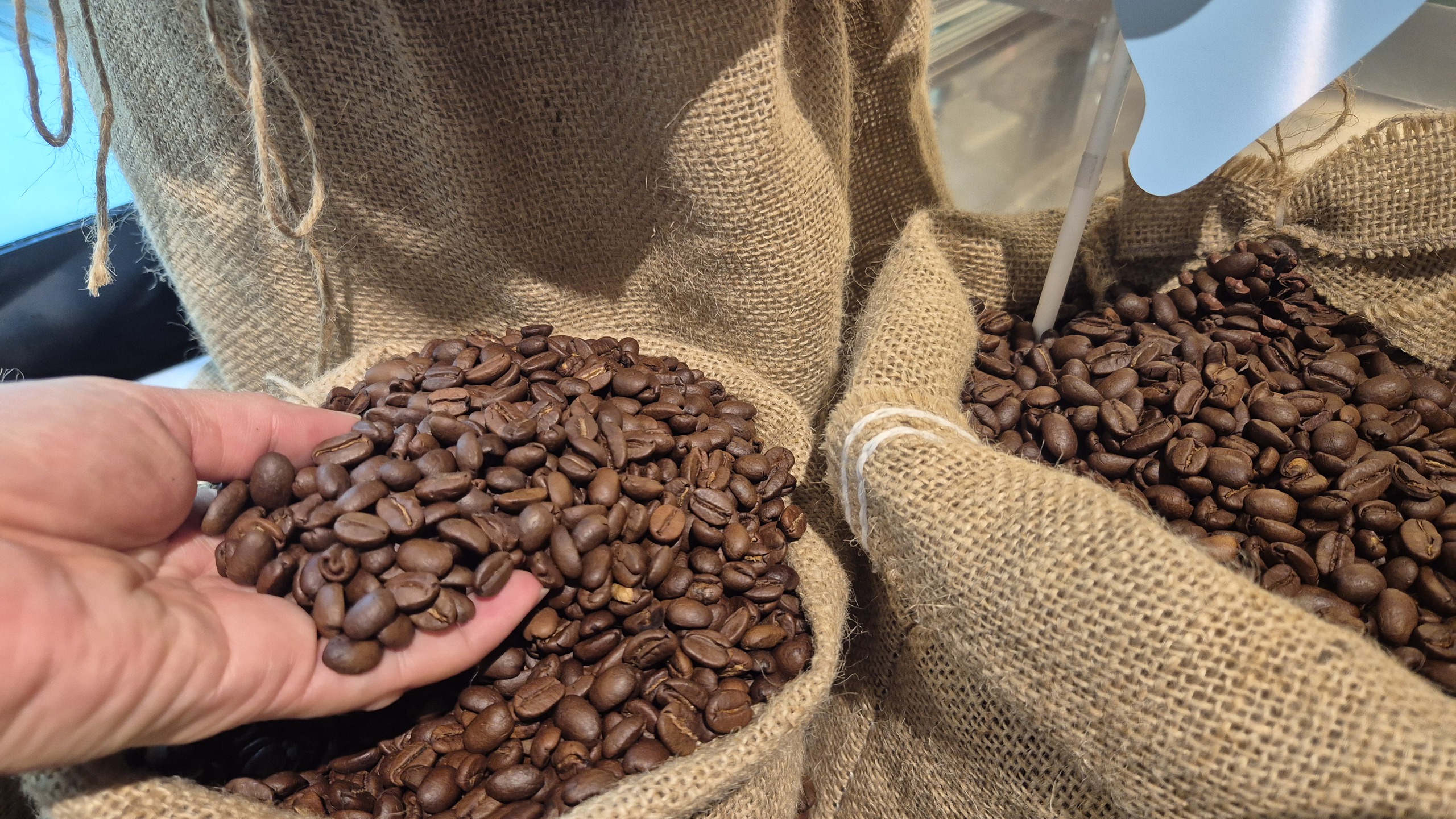 Giá cà phê hôm nay 30 - 6: Arabica tăng , Robusta giảm giữa thị trường biến động 2026 - Ảnh 2.