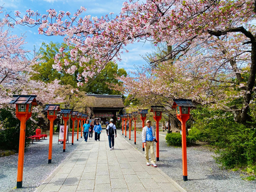 Giữa Kyoto, như nghe thời gian thở - Ảnh 2. Giữa Kyoto, như nghe thời gian thở - Ảnh 2.