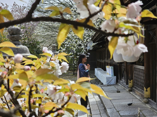 Giữa Kyoto, như nghe thời gian thở - Ảnh 1. Giữa Kyoto, như nghe thời gian thở - Ảnh 1.