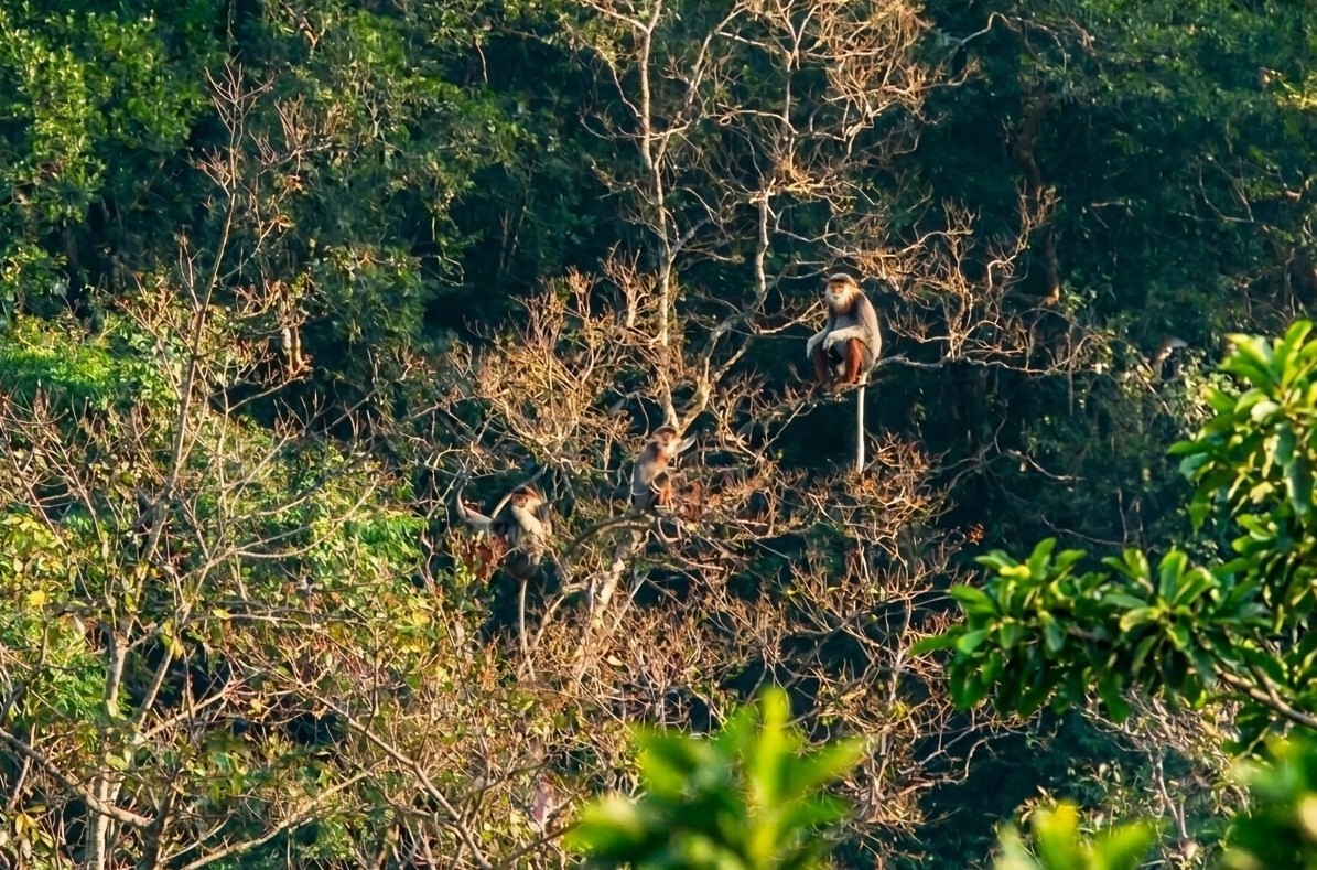 Hồi sinh Hồi sinh