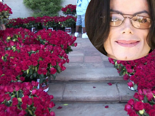 10.000 đóa hồng tưởng nhớ Michael Jackson